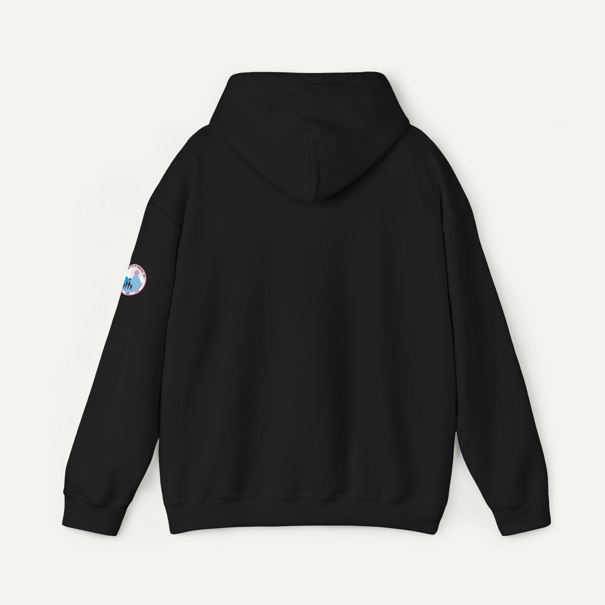 Jack and Jill of America Teen Hoodie