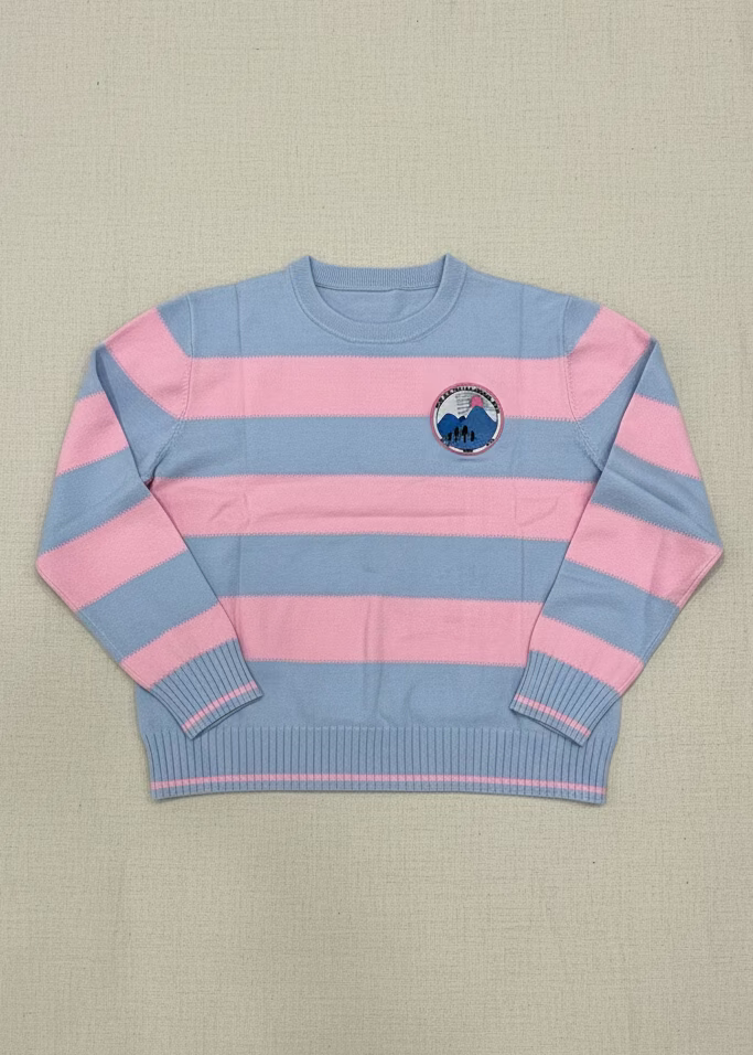 pink and blue striped jack and jill crewneck sweater for jack and jill moms