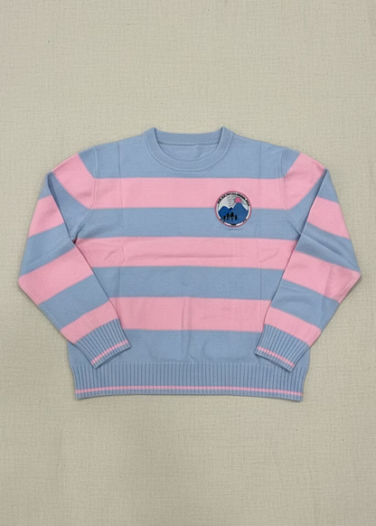 pink and blue striped jack and jill crewneck sweater for jack and jill moms